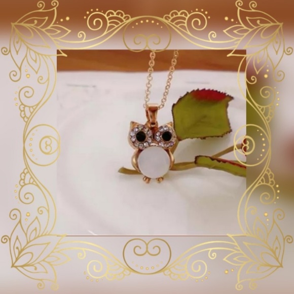 Fashion ND Jewelry - 💎💎Gold Tone Owl Necklace with Rhinestones